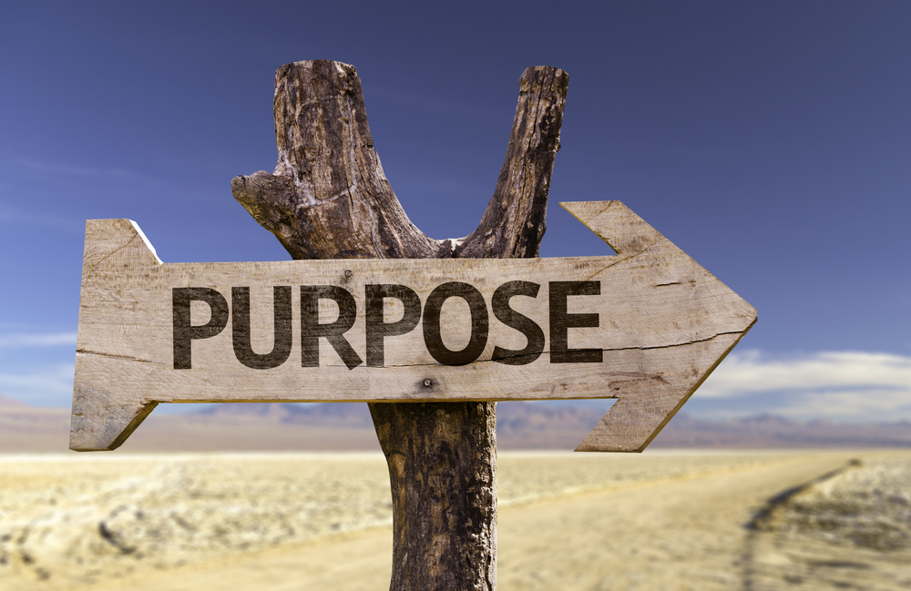 Purpose,Wooden,Sign,With,A,Desert,Background